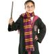 accessoire deguisement Harry Potter enfant