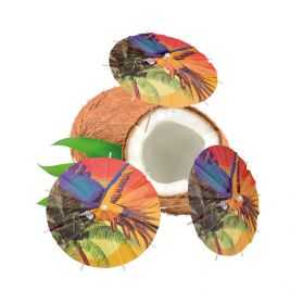 Ombrelles cocktail papier