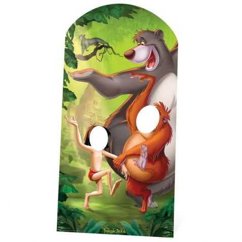 Mur A Trous Photos Decoration Anniversaire Livre De La Jungle