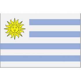 Déco de fête Uruguay