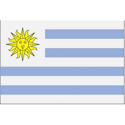 Déco de fête Uruguay