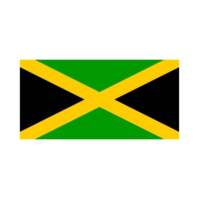 Deco De Fete Jamaique Soiree A Theme Jamaicaine Reggae