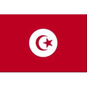 déco anniversaire adulte tunisien