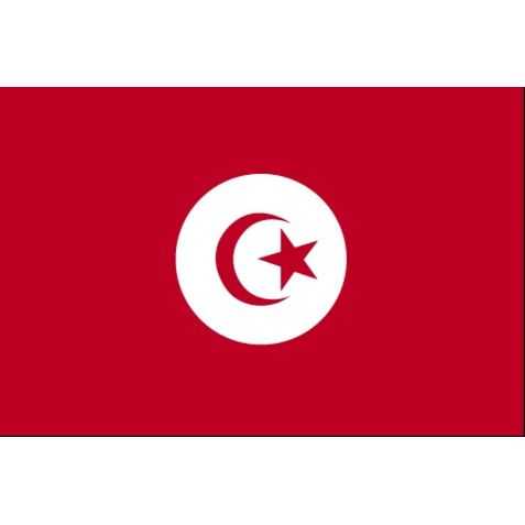 déco anniversaire adulte tunisien