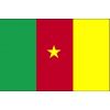 guirlandes à fanions drapeau Cameroun