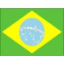 Drapeau Brésilien avec oeillets
