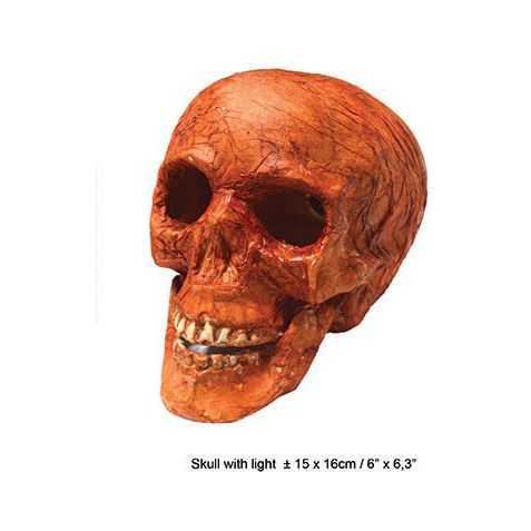 Crâne de squelette avec yeux lumineux