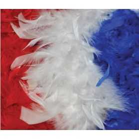 Boa à Plumes bleu blanc rouge