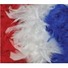 Boa à Plumes bleu blanc rouge