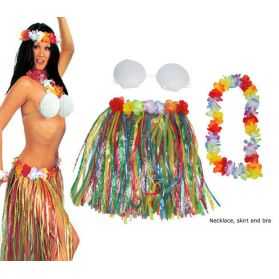 1 Kit accessoires Adulte pour se déguiser en danseuse Hawaïenne