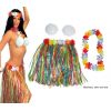 1 Kit accessoires Adulte pour se déguiser en danseuse Hawaïenne