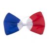 Noeud papillon drapeau français