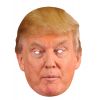 Masque Donald Trump en carton