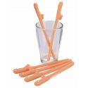 Lot de 6 Pailles zizi pour enterrement de vie de jeune fille