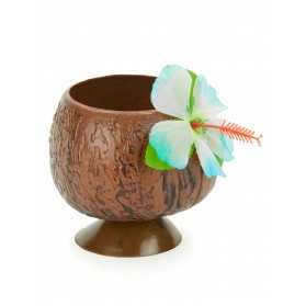 Coupe Hawaï noix de coco tropicale