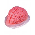 Moule à&nbsp; gelée cerveau transparent Halloween