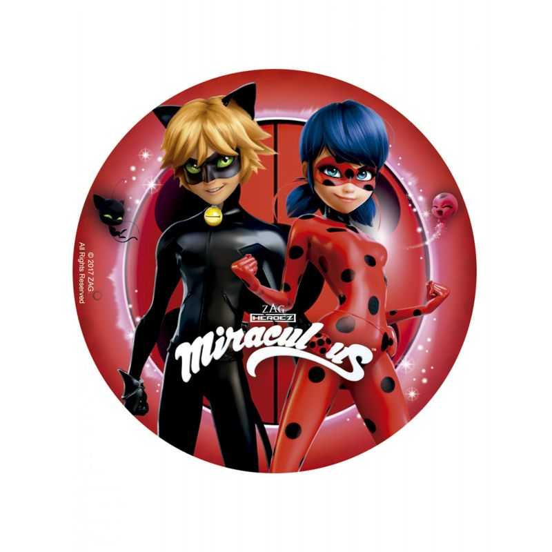 Disque Alimentaire Pour Deco Gateau Ladybug