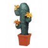 Pinata Cactus 64 x 30 cm