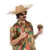 1 Chapeau de paille pour faire la fête