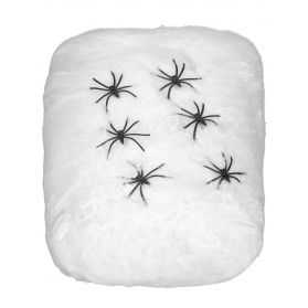 Blister Toile d'araignée et 6 Araignées