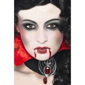 Kit maquillage Dracula adulte