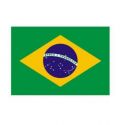Kit de déco de fête Brésil
