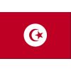 déco drapeau tunisie