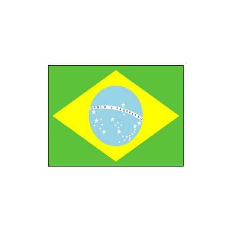 drapeau brésilien pas cher drapeau supporter Brésil
