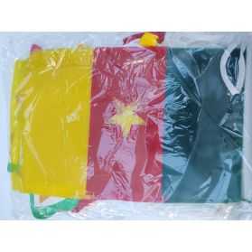 décoration pour Coupe d'afriques des nations de foot CAN pays Cameroun