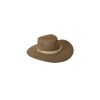 Chapeau de Cowboy soirée Western