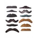 Moustaches pour se déguiser