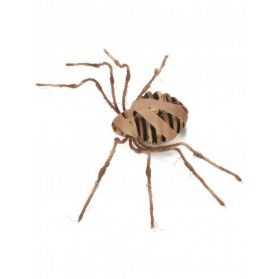 Araignée décoration thème Horreur
