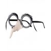 Nez de sorcière avec lunettes