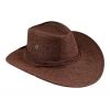 Chapeau de Cowboy soirée Western