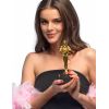 Statuette récompense Hollywood
