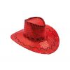 Chapeau rouge pour grosse fête Chapeau rouge pour grosse fête