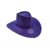 1 Chapeau Cowboy pour grosse fête 1 Chapeau Cowboy pour grosse fête