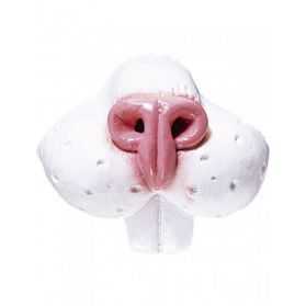Faux Nez pour ressembler à un Lapin