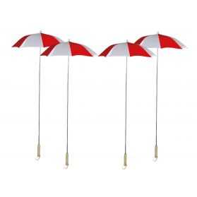 Berguenards pour carnaval de dunkerque