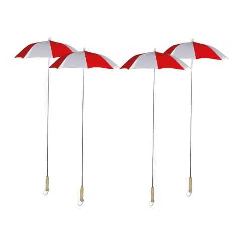 Berguenards pour carnaval de dunkerque