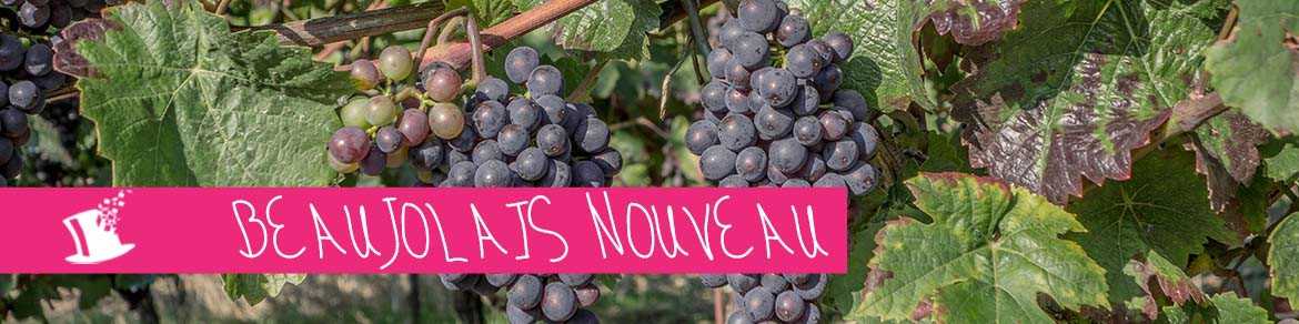 Beaujolais nouveau (20 novembre)